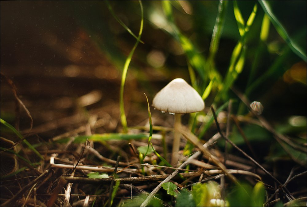 Photograph by Виктория Булатова