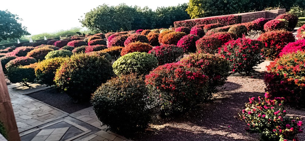 Photograph by Shahan Khan