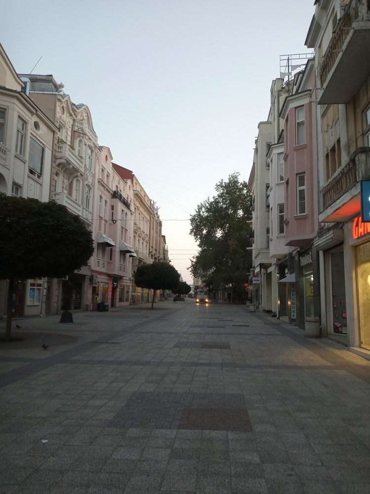 Photo #3810804