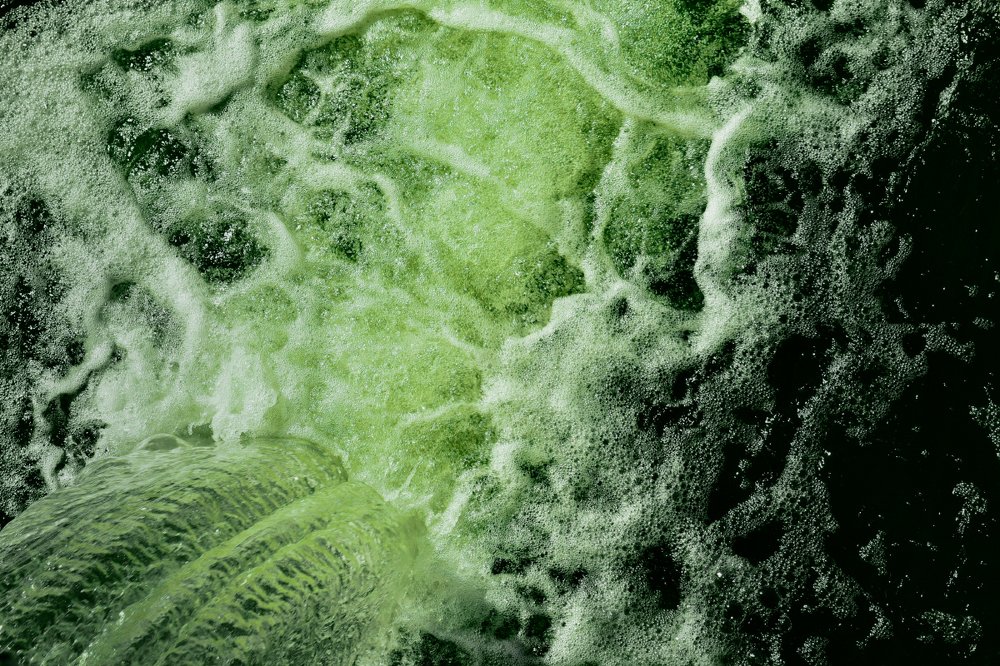 Photograph by Vitaly