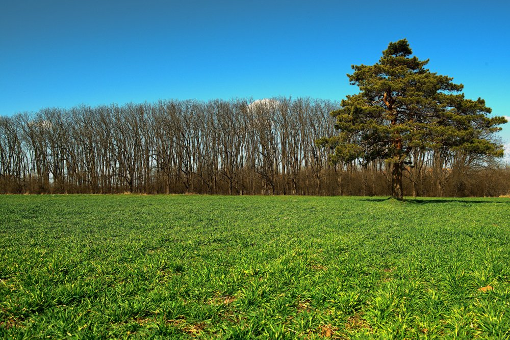 Photograph by Vitaly