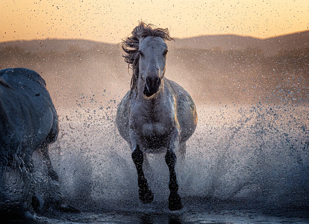 Photograph by Kok Tien Sang