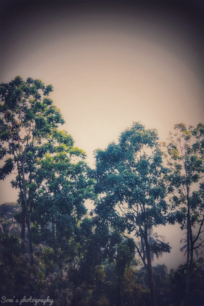 Nature is the art of god.