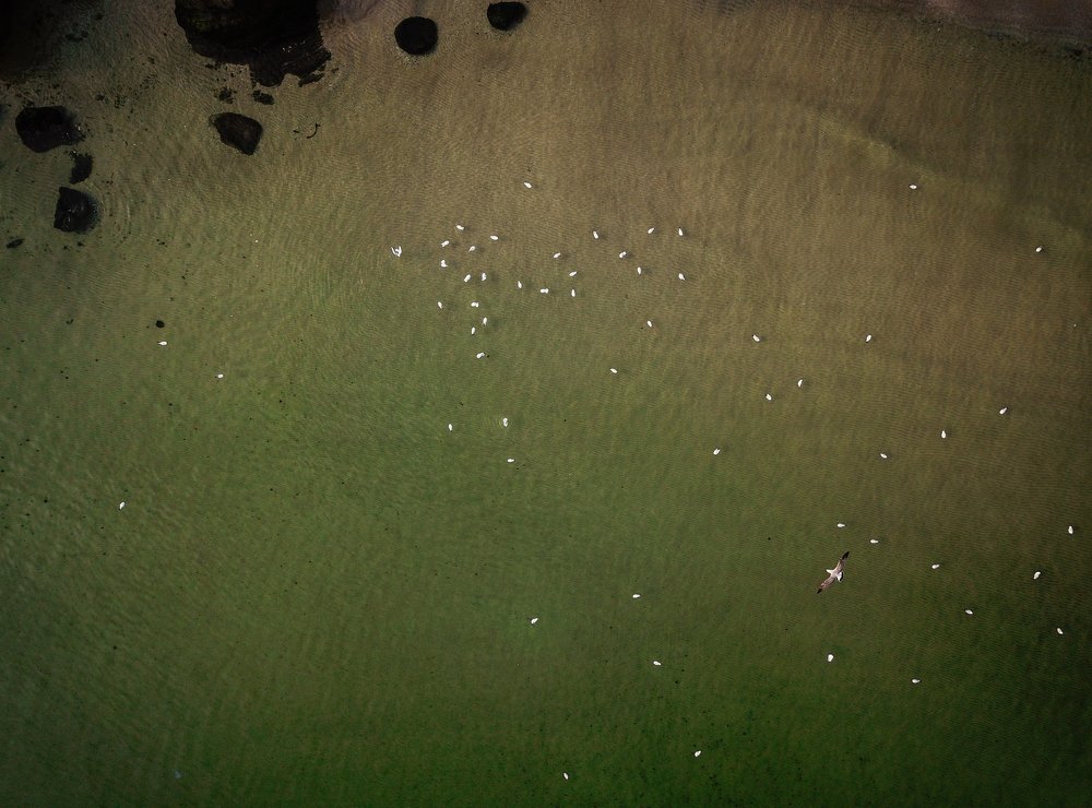 Photograph by Александра Азарнова