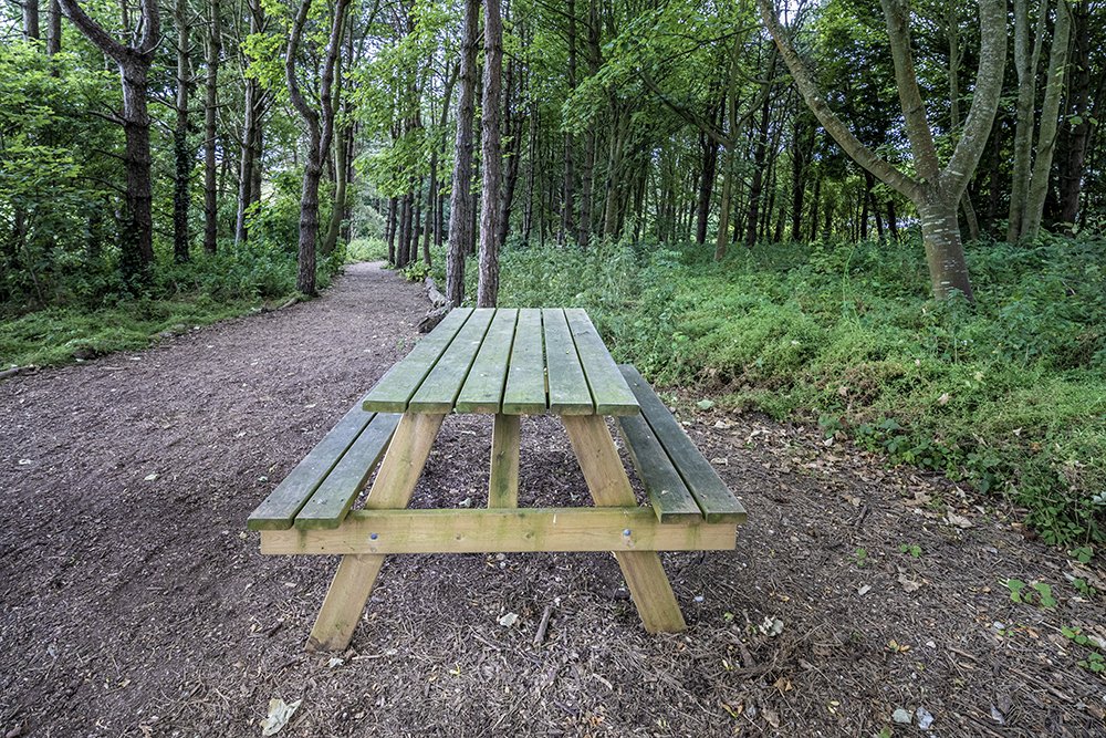 Photograph by Sudipta Das