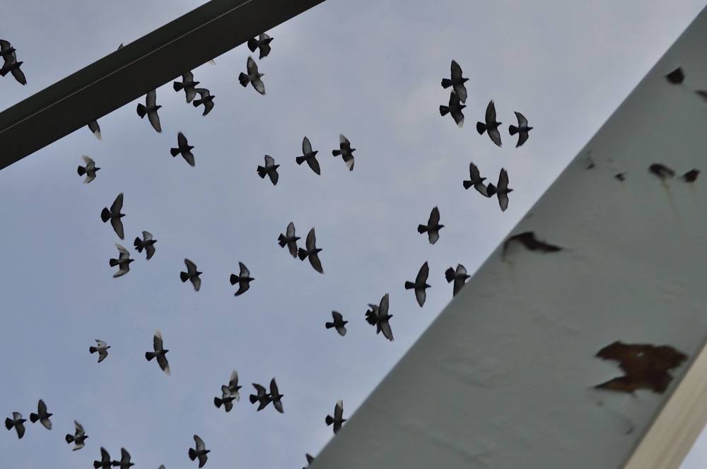 Photograph by Tiffanie Mora