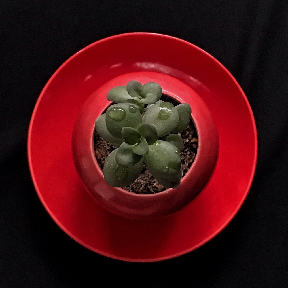 Photograph by amir ali navadeh shahla