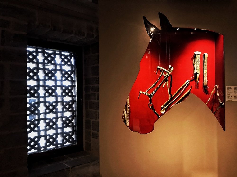 Photograph by amir ali navadeh shahla