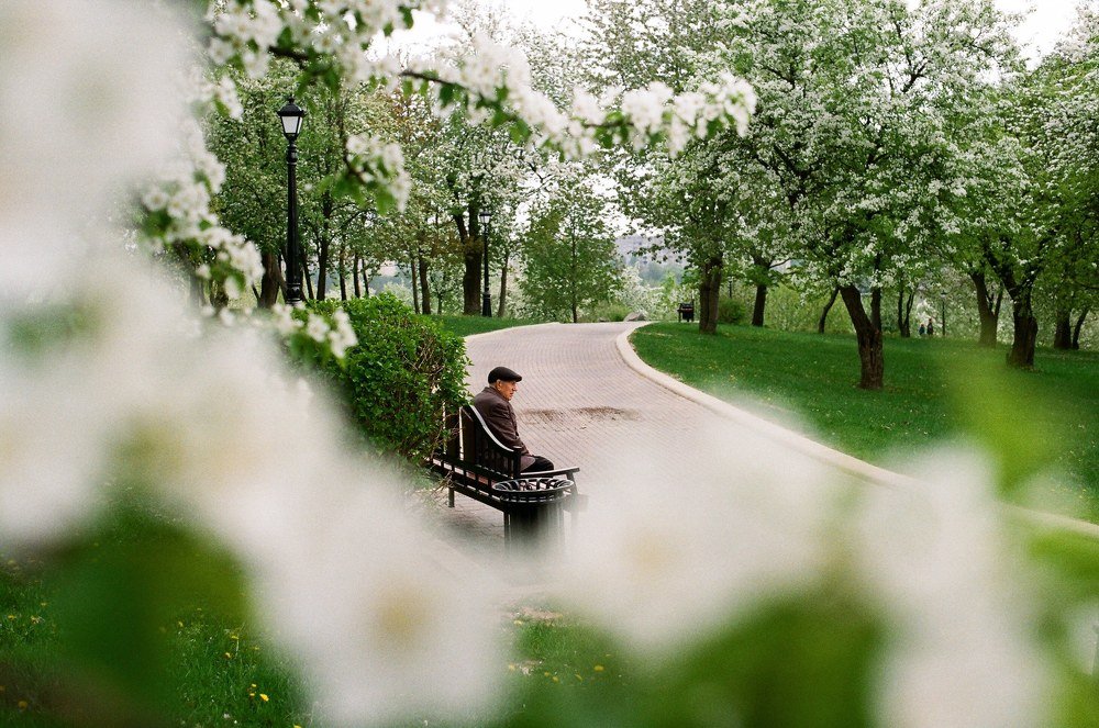Photograph by Елизавета Воробьёва