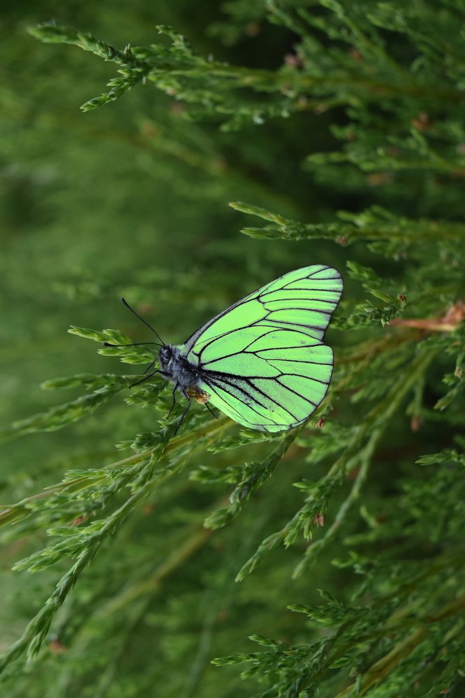 Photograph by Светлана Крат