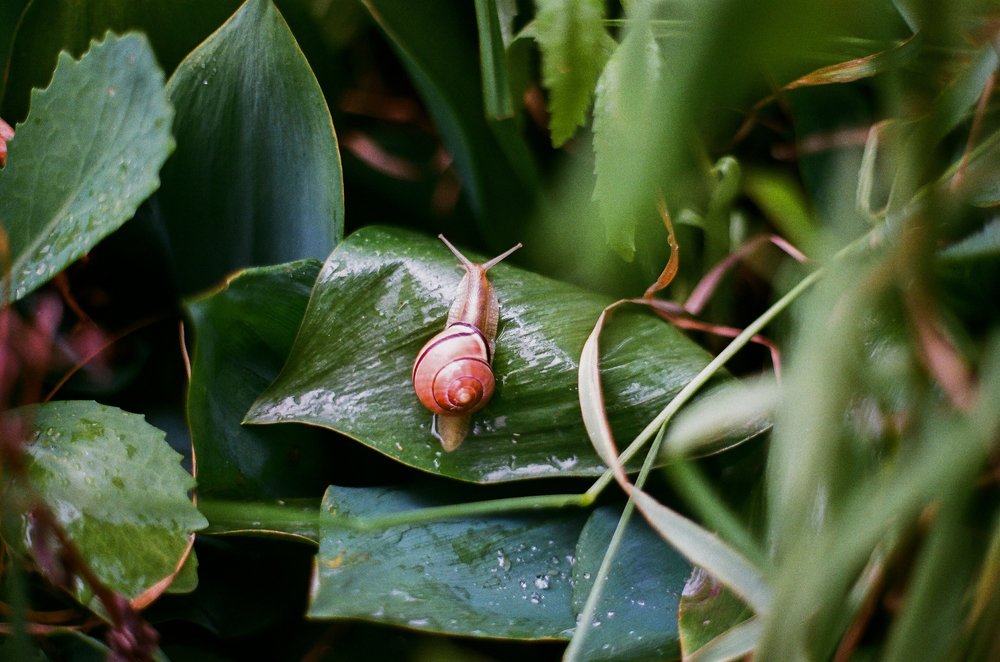 Photograph by Елизавета Воробьёва