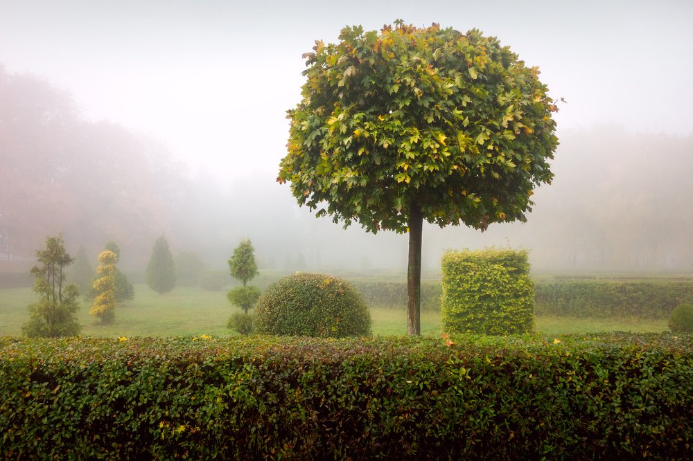 Photograph by Aнтон Кононов