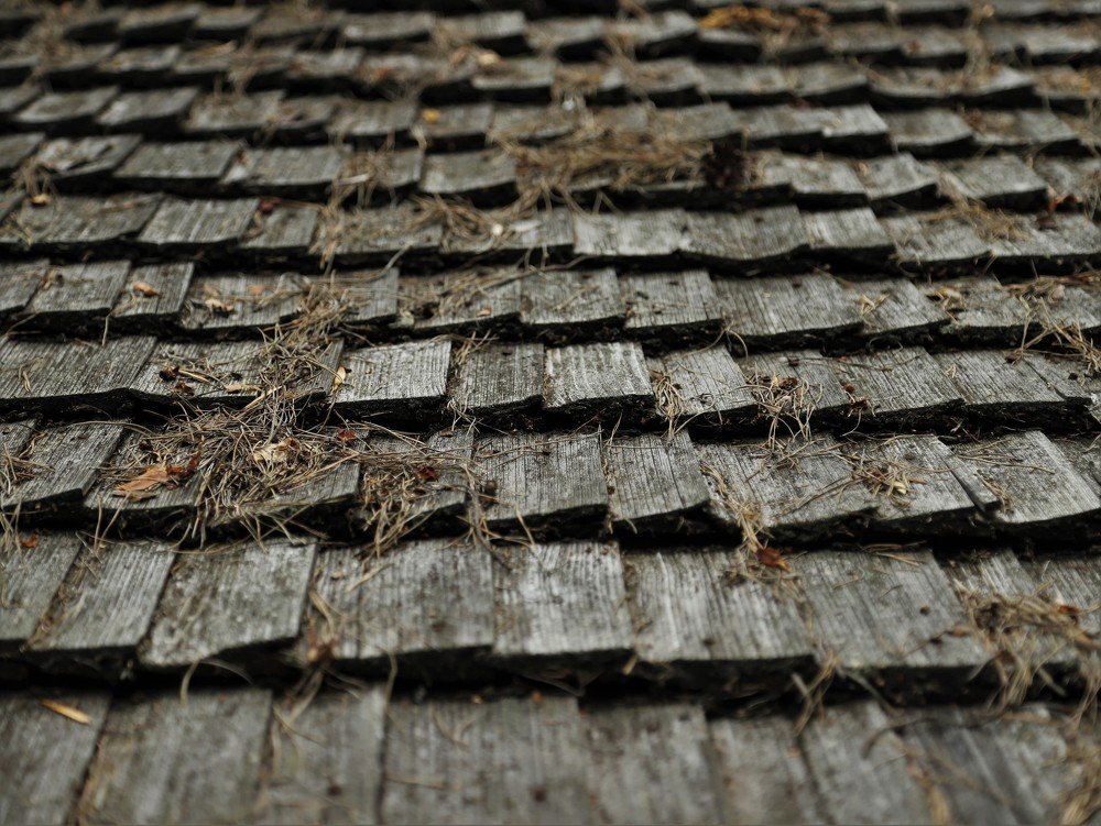 Photograph by Андрей Телибаев