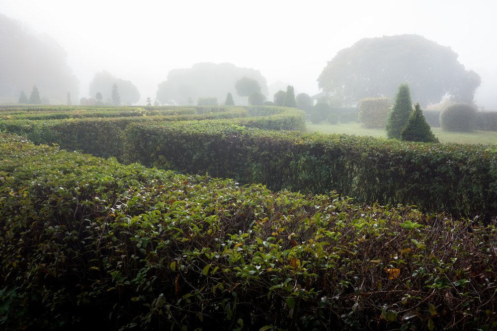 Photograph by Aнтон Кононов