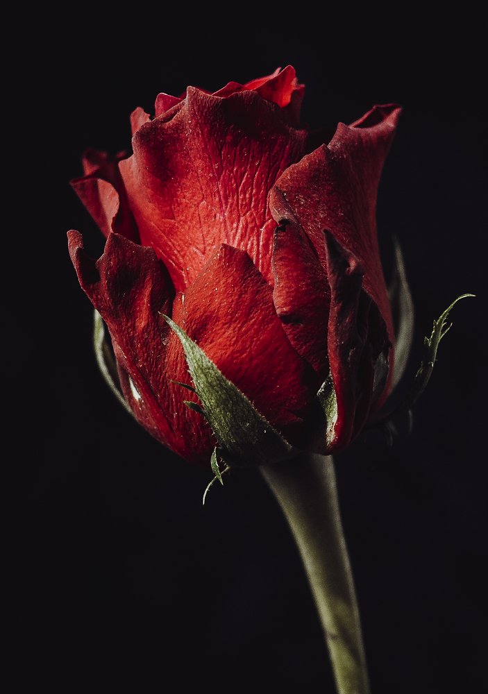 Photograph by Dace Spalviņa