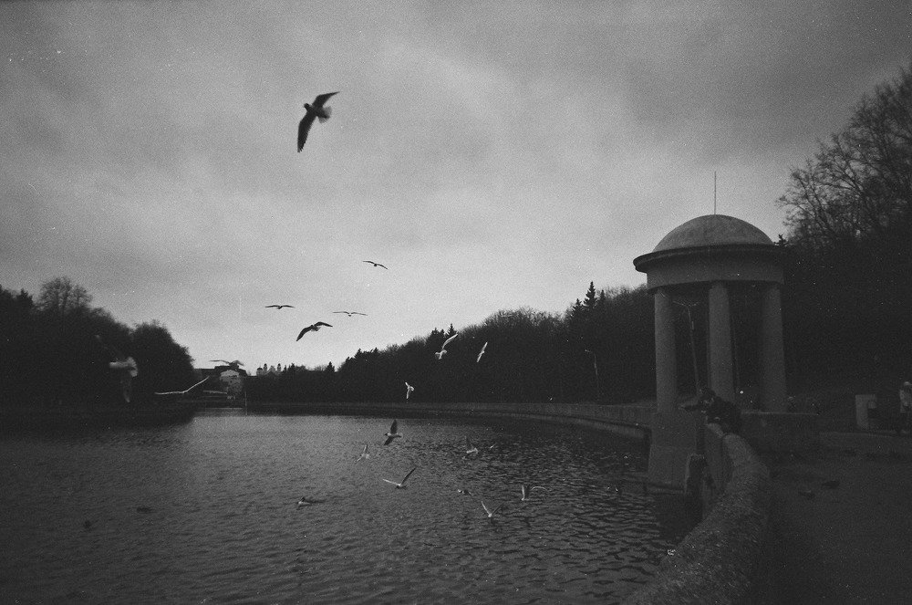 Photograph by Елизавета Воробьёва