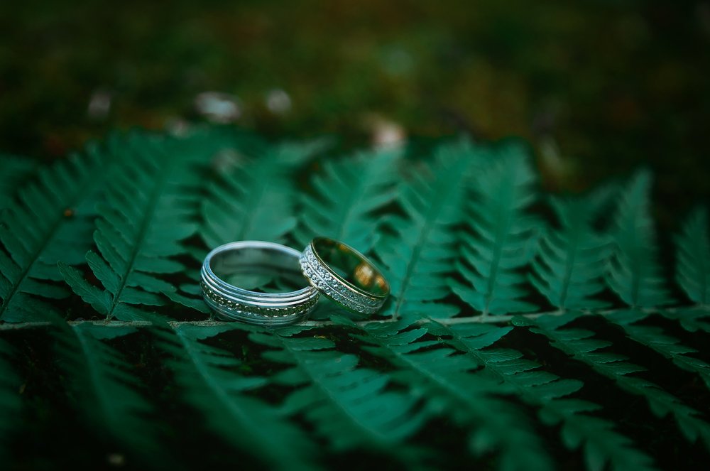 Photograph by Dace Spalviņa