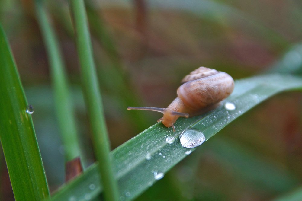Photograph by Сергей Арямов