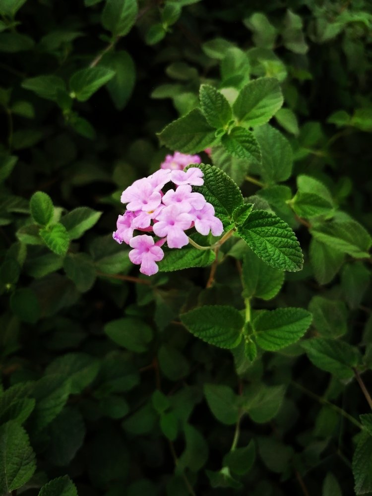 Photograph by Ahmed Bekhit