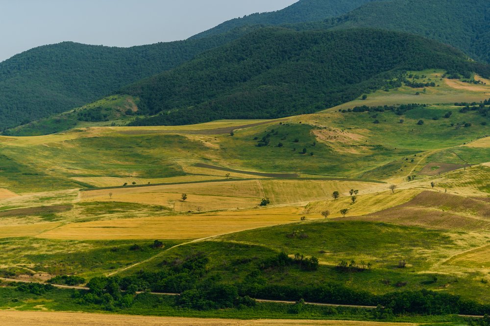Фотография автора Севак Асрян