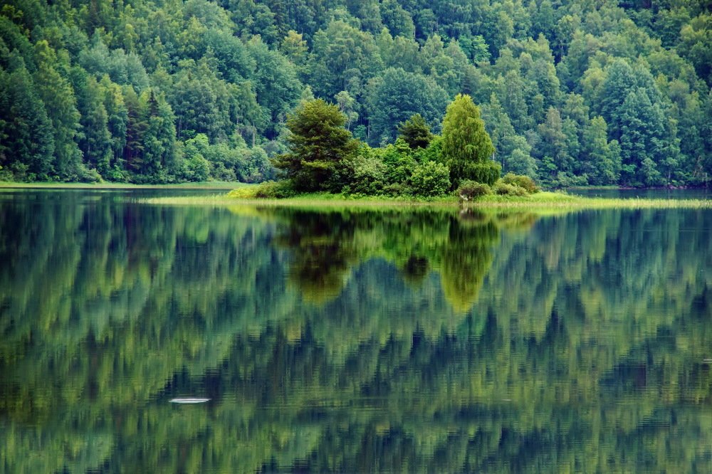 Photograph by Евгений Жиляев