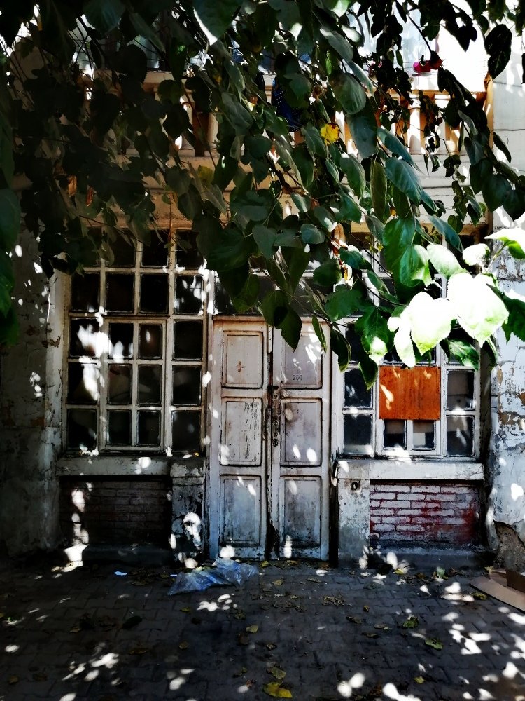 Photograph by Ahmed Bekhit