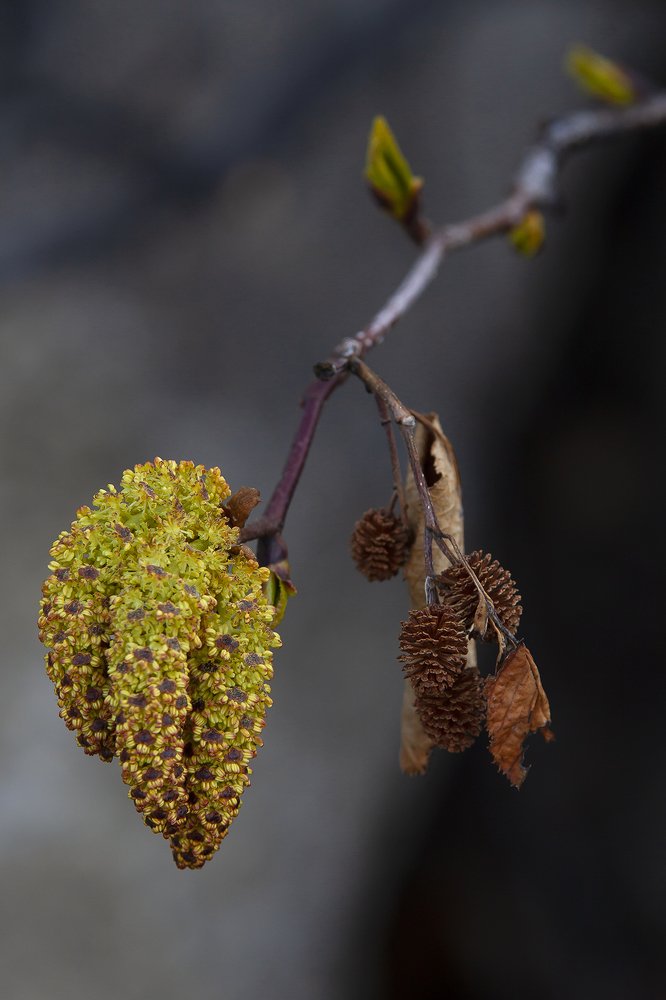 Photograph by Олег Тетерин