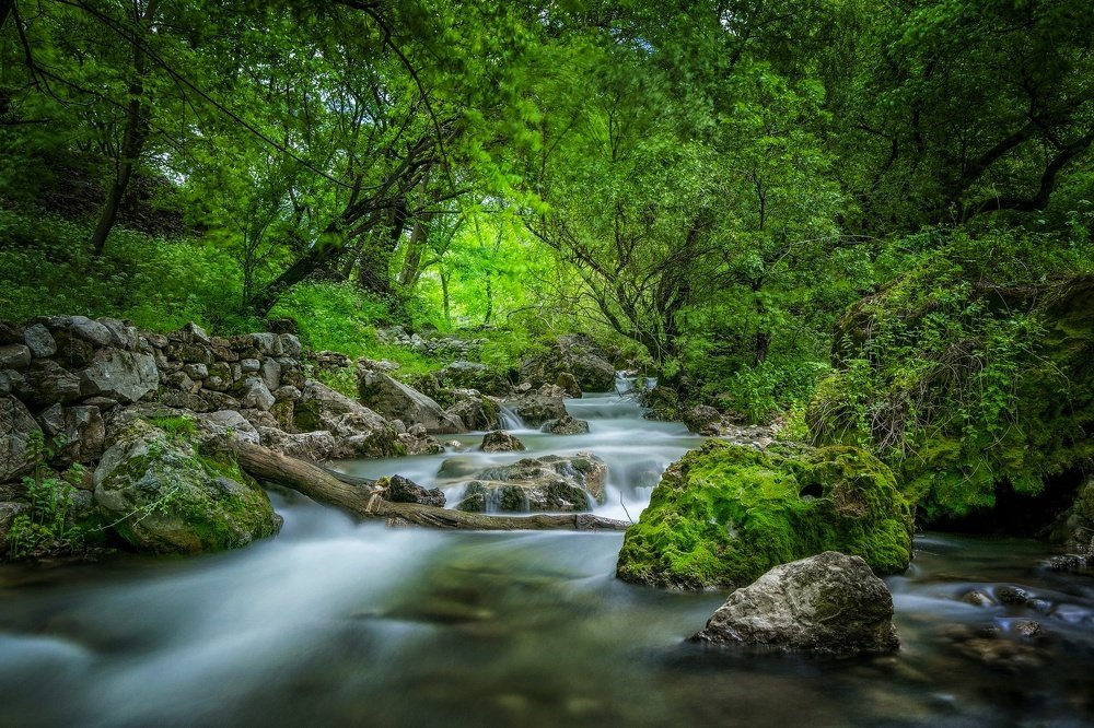 Photograph by Edris Khosravizadeh