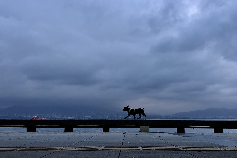 Фотография автора Kağan Baştimar