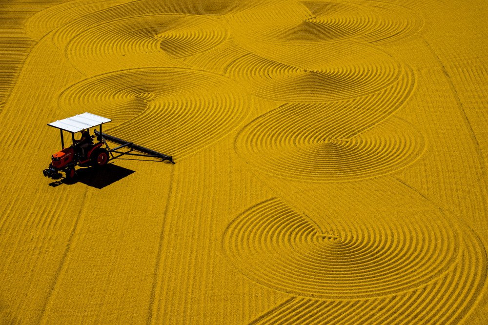 Photograph by Cem Yakal