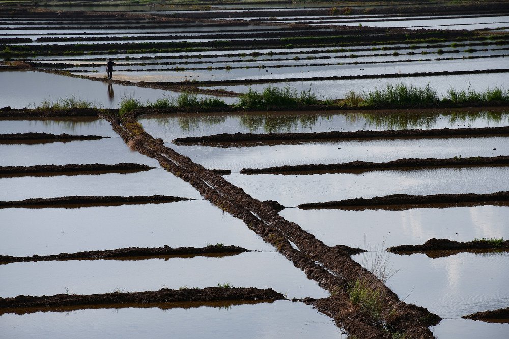 Photograph by Cem Yakal