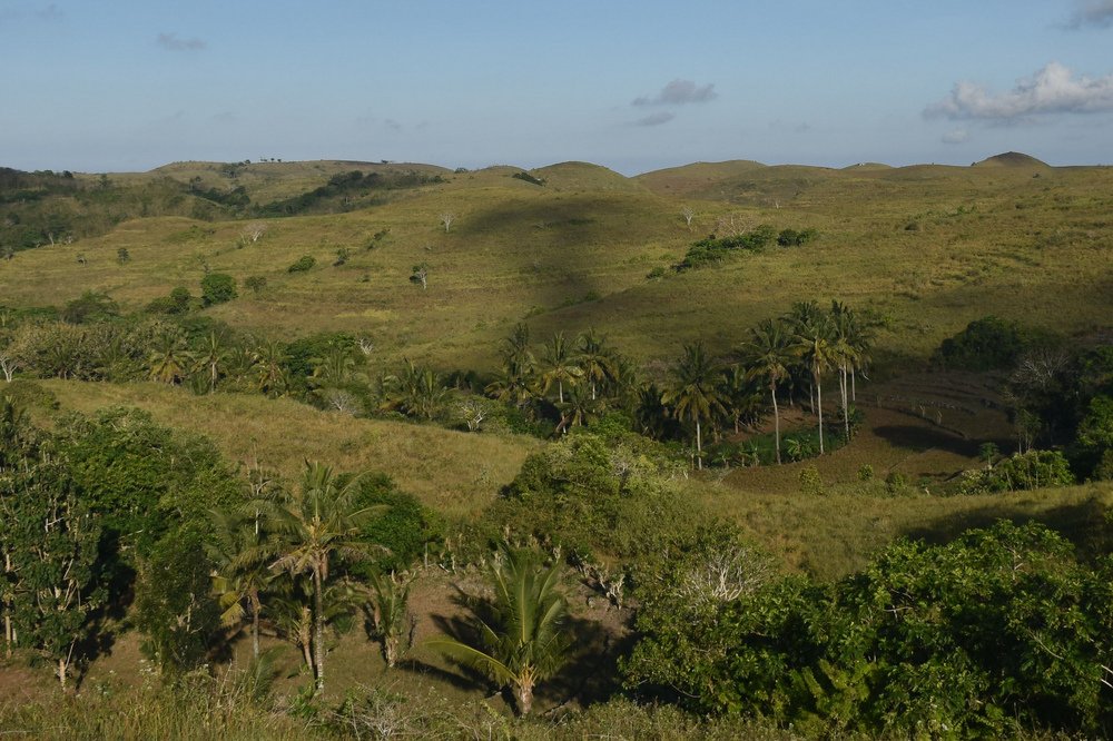 A Beautiful Escape to Peace