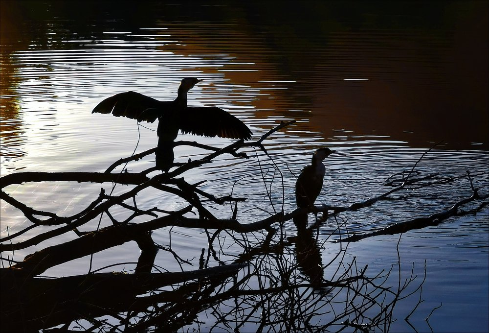 Photograph by Александр Леснянский