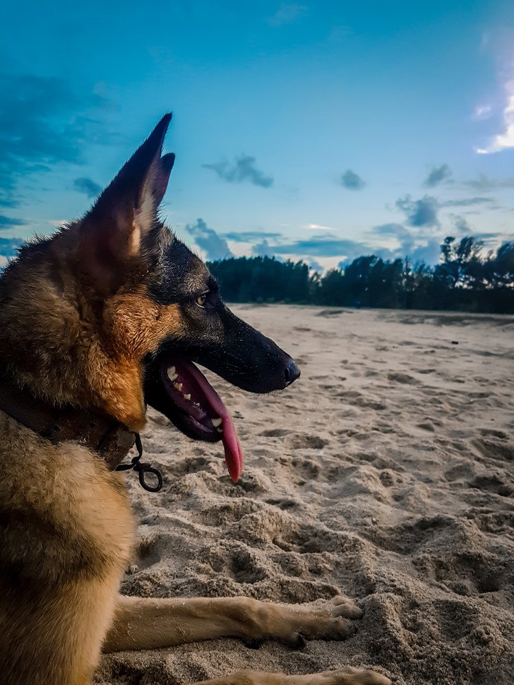 Photograph by KUNASEKARAN DAYANUJAN