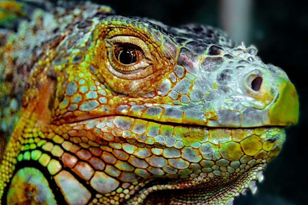 Photograph by Александр Татаринцев