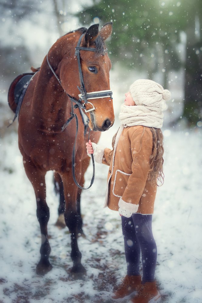 Большая дружба