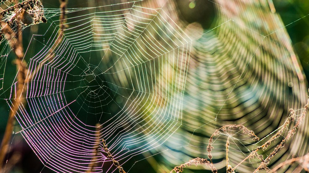 Photograph by Евгений Калагаев