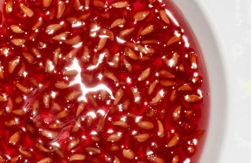 Pomegranate Dessert