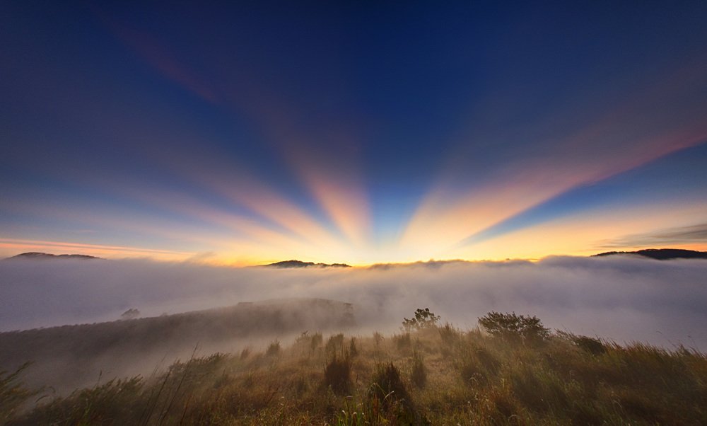 Photograph by Phong Vu S Nguyen