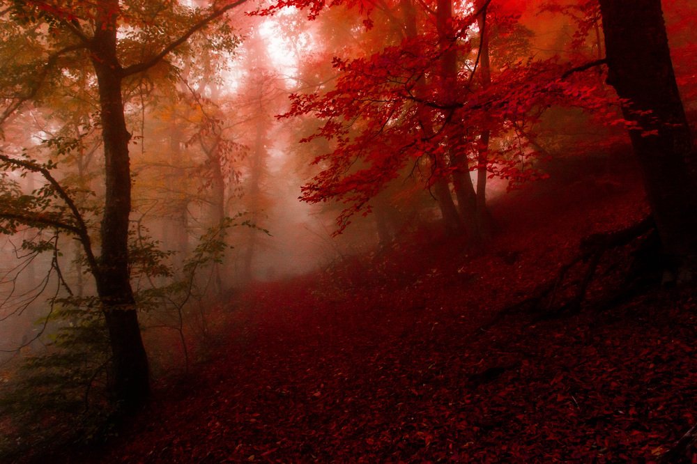 Photograph by Андрей Муравин