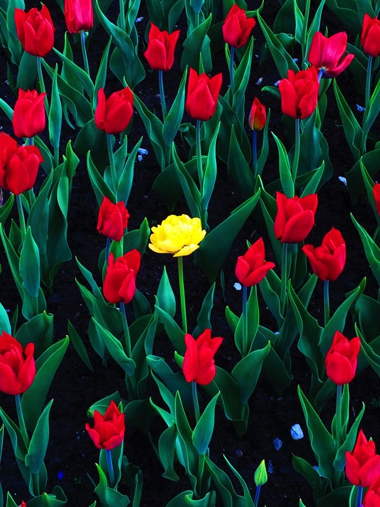 Photograph by Екатерина Аксёнова