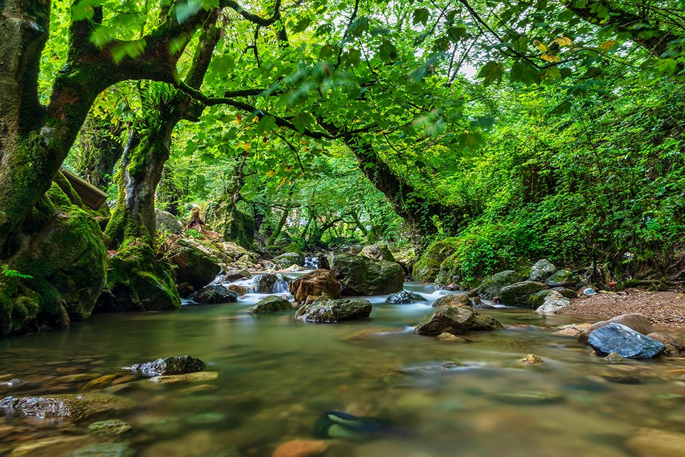 Photograph by Reza Baradaran Esfahani