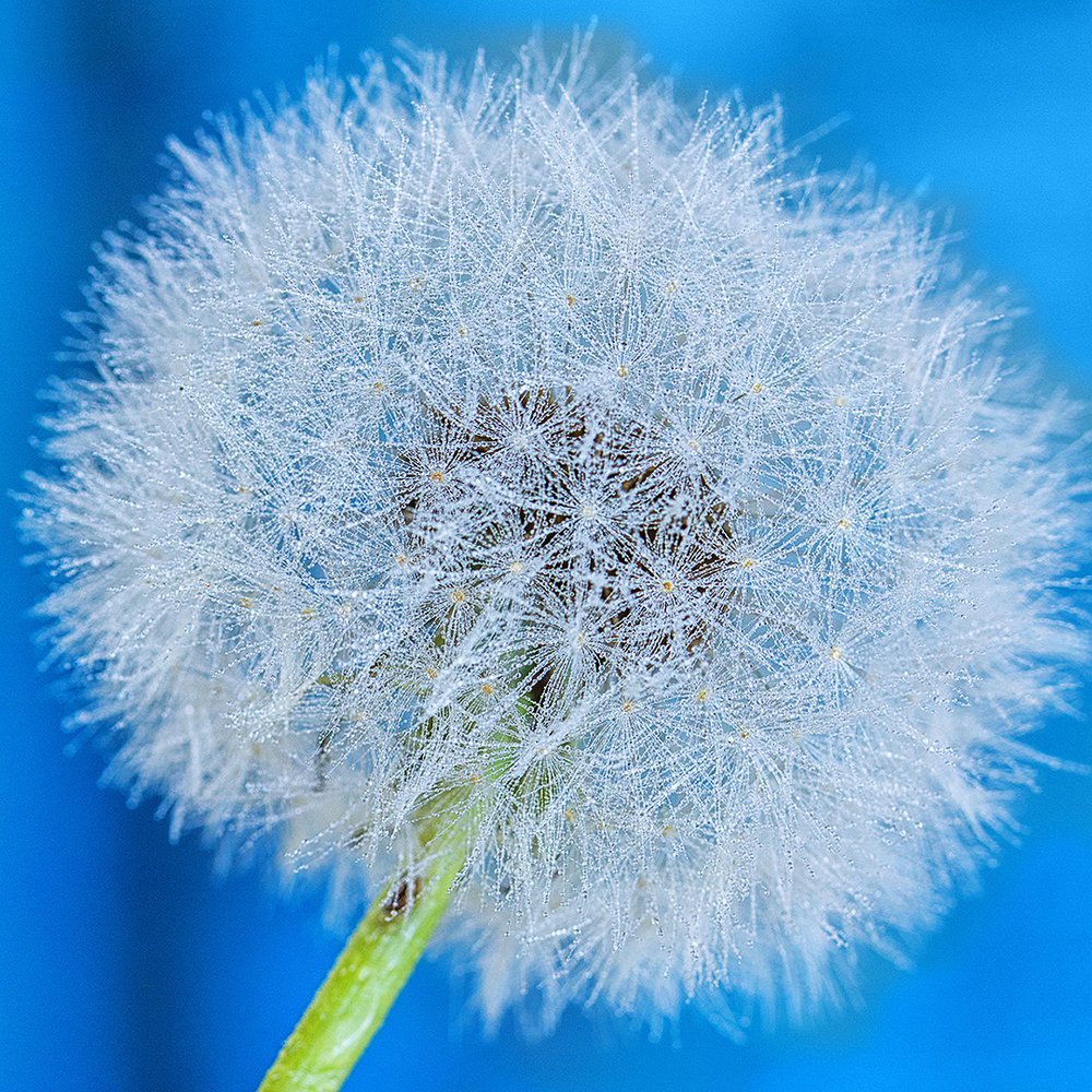 Photograph by Галина Иванова