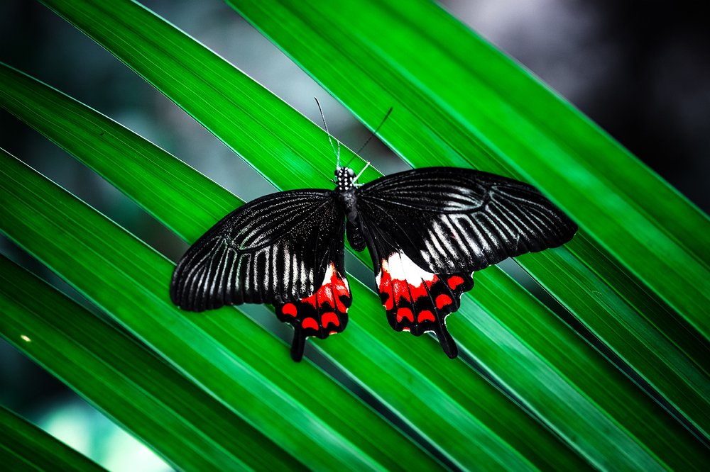 Photograph by Галина Иванова