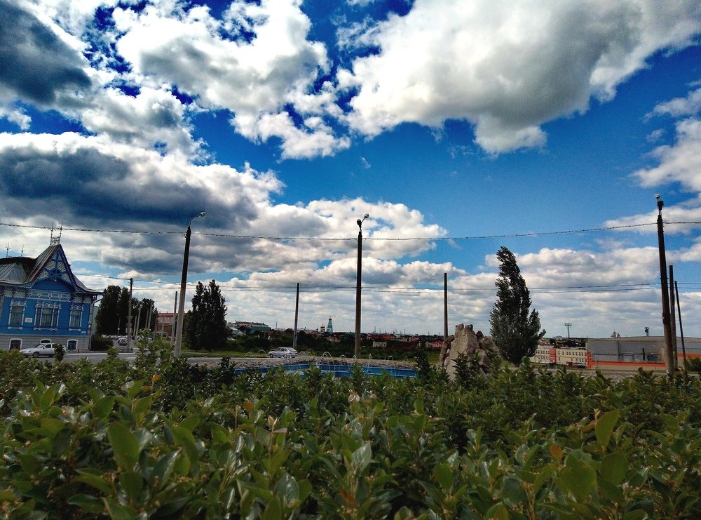 Photograph by Федоренко Элеонора