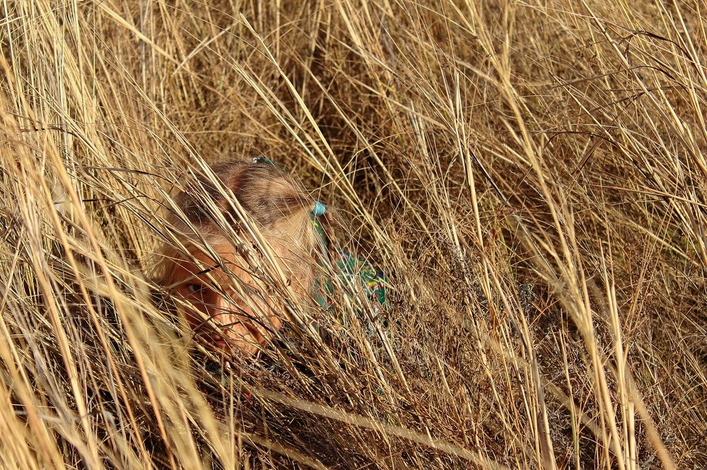 Photograph by Владимир Полоус