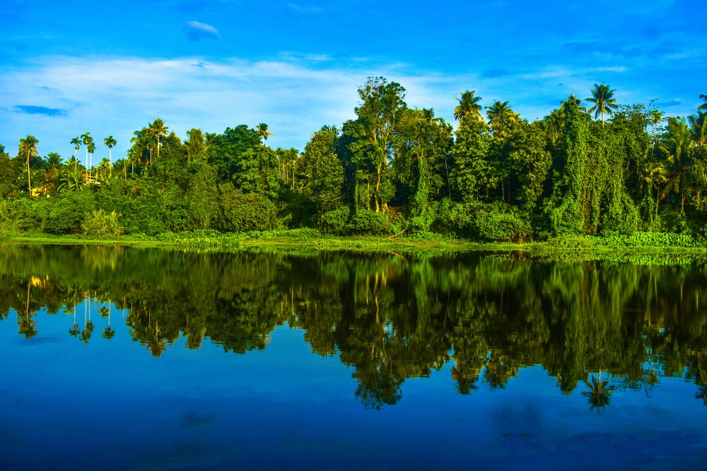 Photograph by SIBIN PINHEIRO