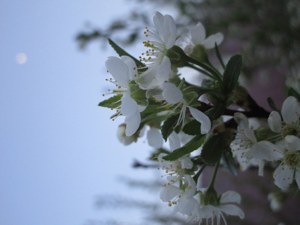 Photo #3812176