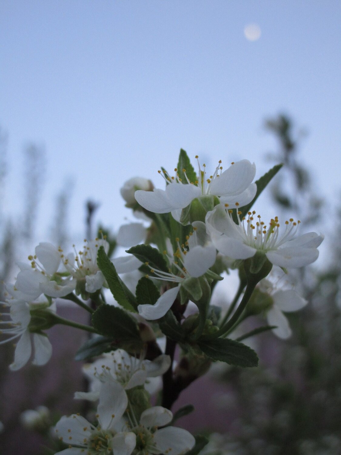 Photo #3812176