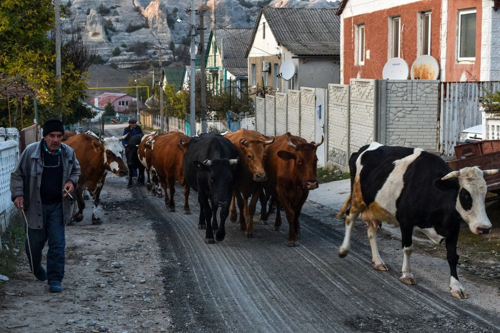 Photograph by Игорь Кузьмин